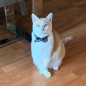 Meet your Posher, Ivonne